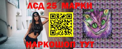 стаф Кинель
