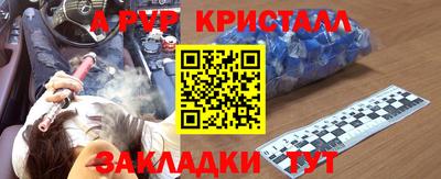 стаф Кинель
