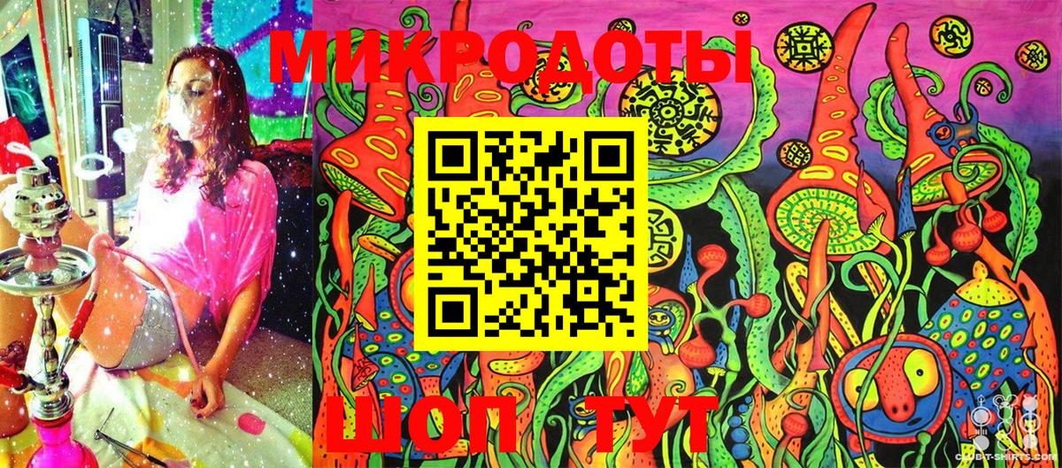 Псилоцибиновые грибы Psilocybe Красноармейск