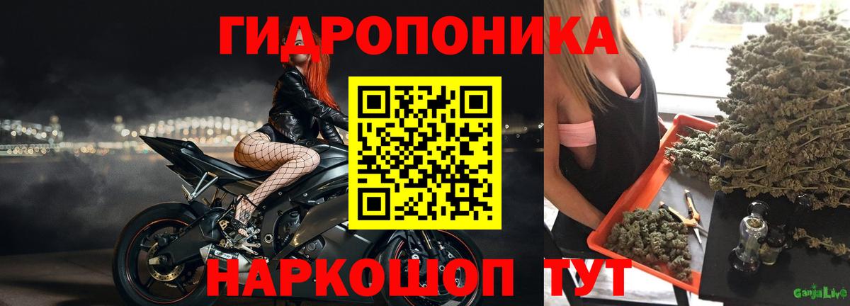 Конопля марихуана  Бошки марихуана тримм  Красноармейск  Вход с VPN 